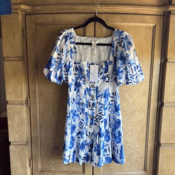 Caroline Constas 🔥 ☀️ Floral Blue and White line mini dress A line. - Picture 5 of 13